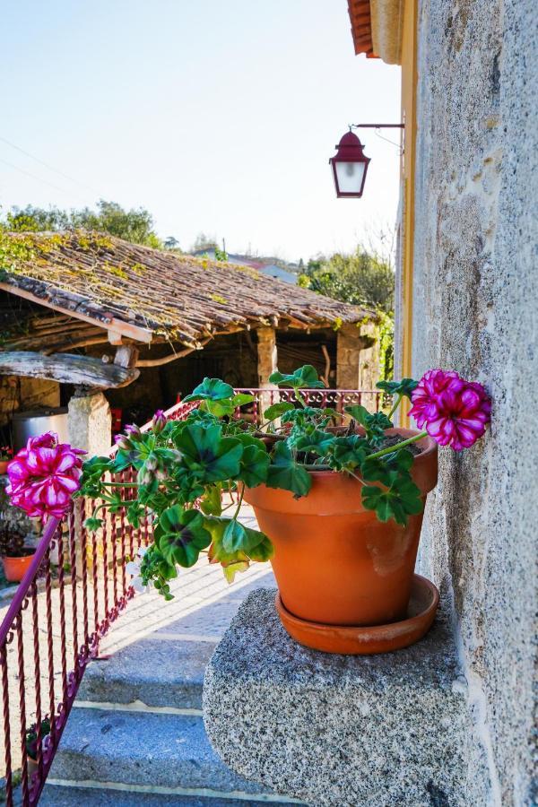 Casa Do Ribeiro Guest House Lago  Exterior photo
